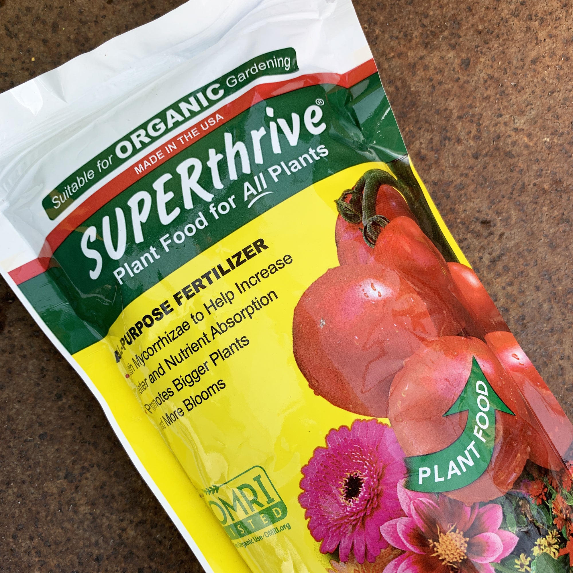 Grow-Your-Own Fall Harvest Garden Kit